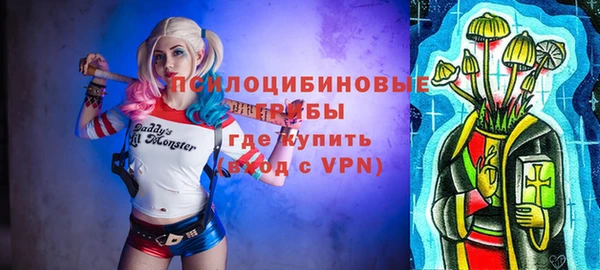 молекула духа Абинск