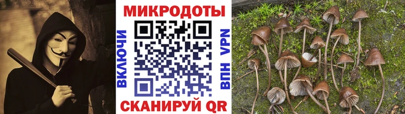 Псилоцибиновые грибы ЛСД  Тетюши 